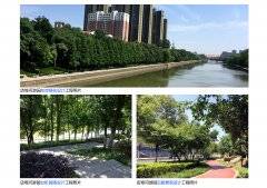 店埠河游园（塘杨桥—八斗路桥）景观设计